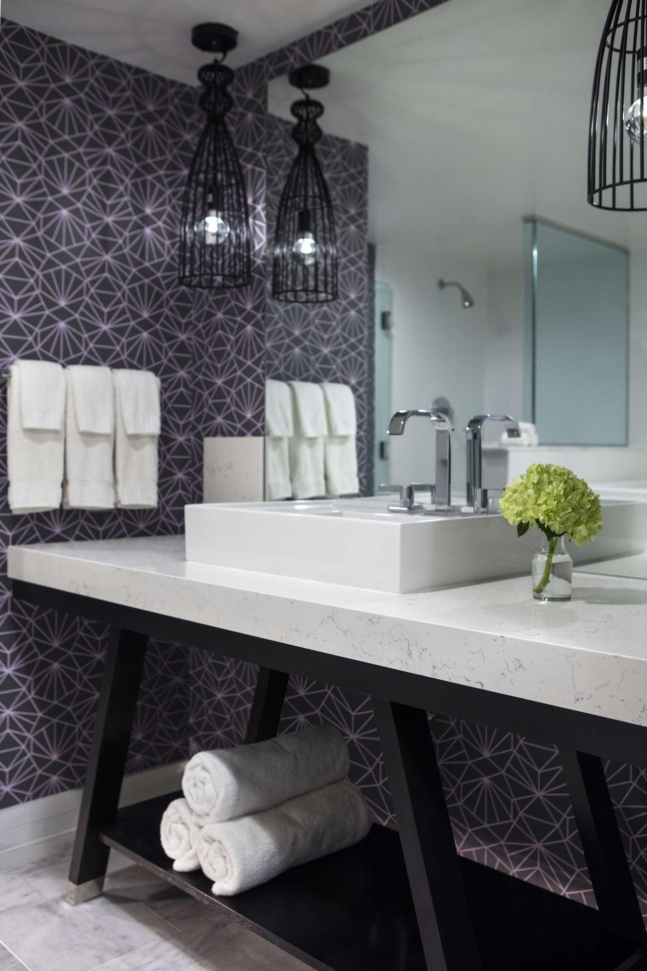 Hotel The Royal Sonesta Dc Dupont Circle Washington